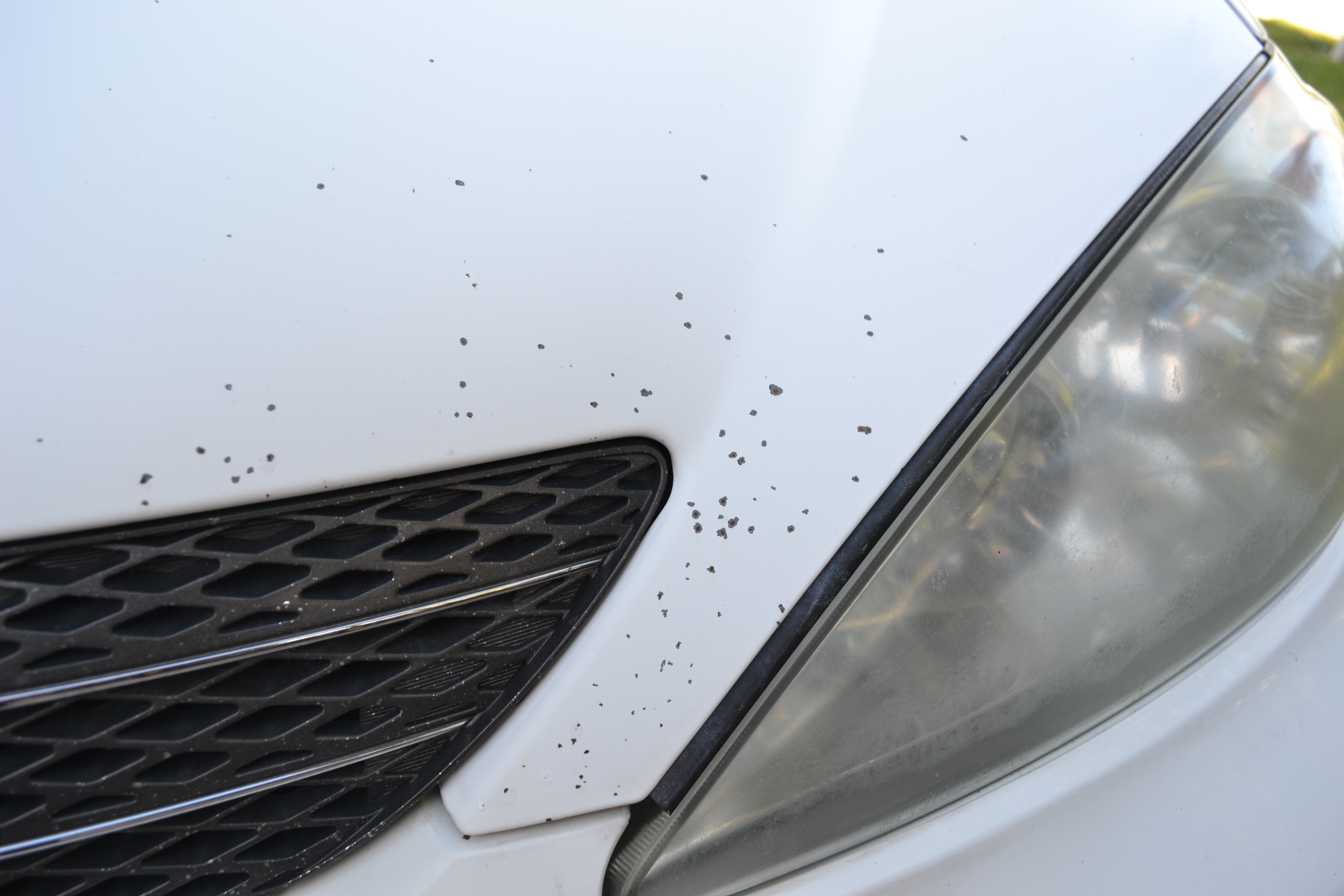 Paint correction before